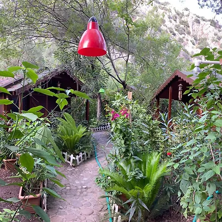 Canario Bungalows